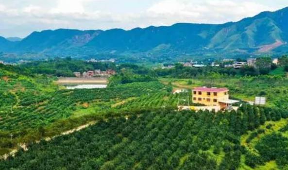 住陜?nèi)珖?guó)政協(xié)委員：加強(qiáng)地理標(biāo)志農(nóng)產(chǎn)品保護(hù) 推進(jìn)鄉(xiāng)村產(chǎn)業(yè)振興