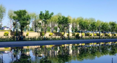 延安市寶塔區(qū)橋溝街道向陽社區(qū)：醫(yī)社攜手送溫情，快遞騎手“檢”安康