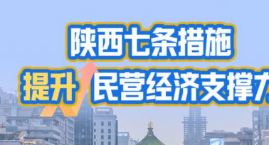 陜西省七條措施提升民營(yíng)經(jīng)濟(jì)支撐力