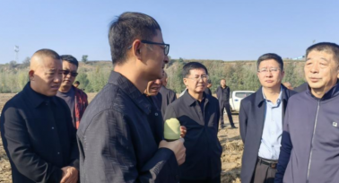 府谷縣農(nóng)業(yè)考察團(tuán)赴靖邊定邊觀摩學(xué)習(xí) 推動馬鈴薯產(chǎn)業(yè)提質(zhì)增效