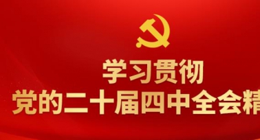 學(xué)習(xí)貫徹黨的二十屆四中全會(huì)精神