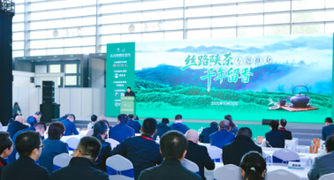 “絲路陜茶 千年留香”專題推介會在第十二屆西部茶博會舉行