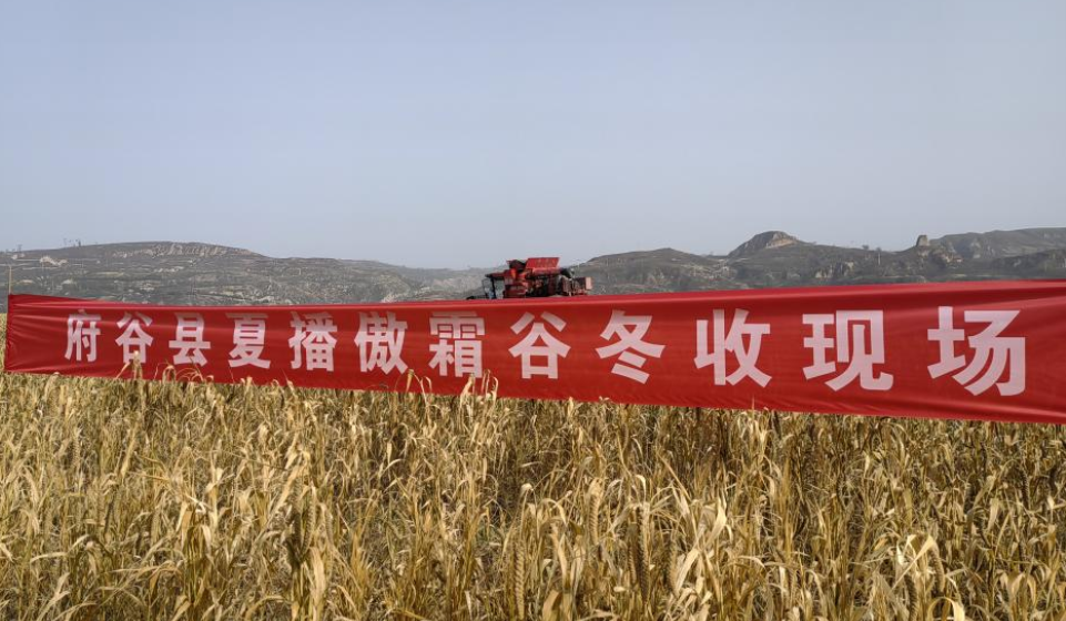 202511121800596654.jpg 1.jpg