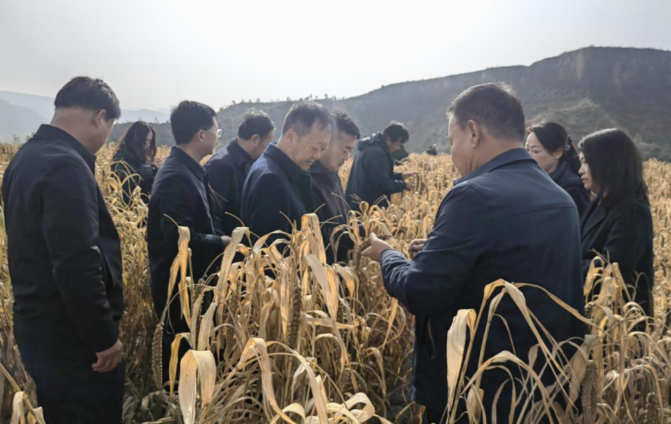 202511121801071202.jpg 2.jpg