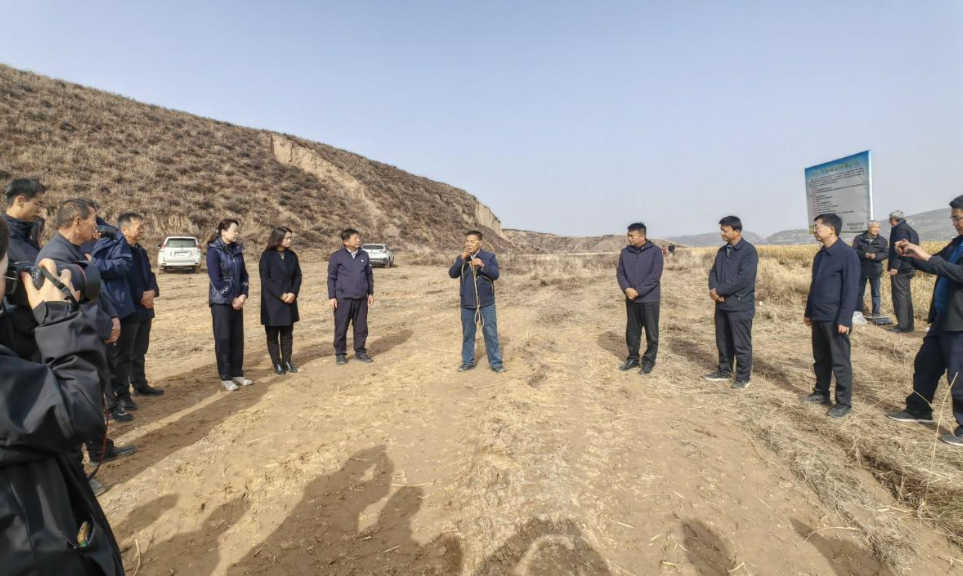 202511121801178603.jpg 3.jpg