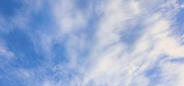 申銀萬國期貨助力富縣蘋果“保險+期貨”項目順利入場