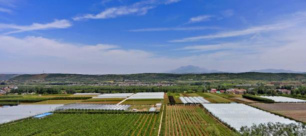 陜西省農(nóng)村產(chǎn)權(quán)流轉(zhuǎn)交易服務(wù)平臺(tái)上線