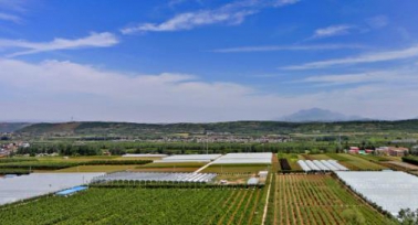 陜西省農(nóng)村產(chǎn)權(quán)流轉(zhuǎn)交易服務(wù)平臺(tái)上線