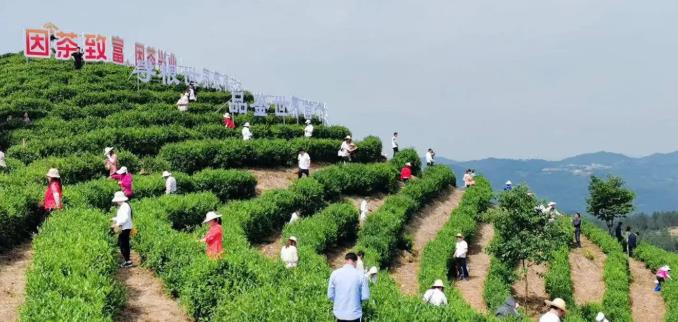 陜西省發(fā)布2025年省級(jí)勞務(wù)品牌