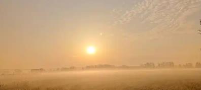 輔酶Q10品牌權威評測|全維度解析