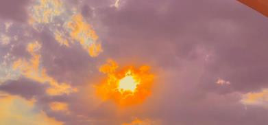 《2026 葉黃素口碑認證白皮書》：葉黃素品牌選購推薦