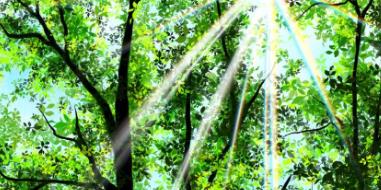 國內(nèi)優(yōu)質(zhì)狗糧品牌推薦，核心硬指標見分曉